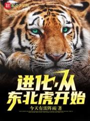 进化,从东北虎开始