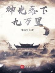 神光落下九万里